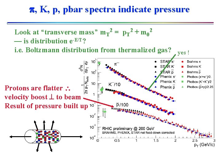  , K, p, pbar spectra indicate pressure Look at “transverse mass” m. T