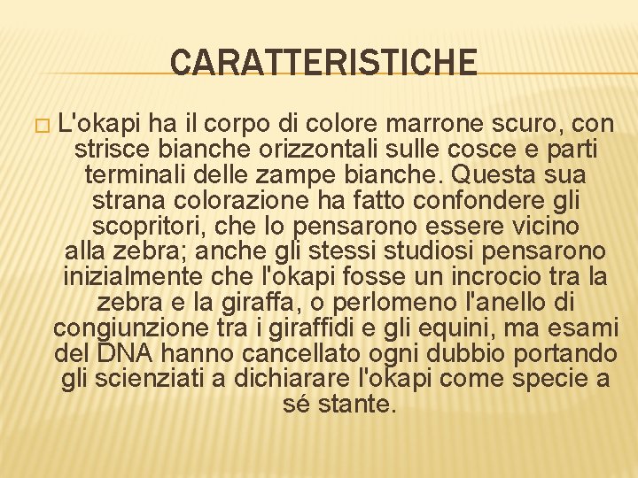 CARATTERISTICHE � L'okapi ha il corpo di colore marrone scuro, con strisce bianche orizzontali