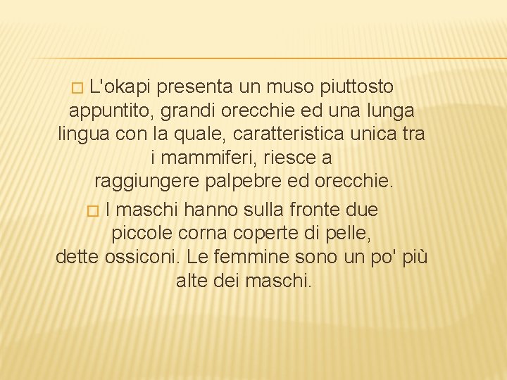 L'okapi presenta un muso piuttosto appuntito, grandi orecchie ed una lunga lingua con la