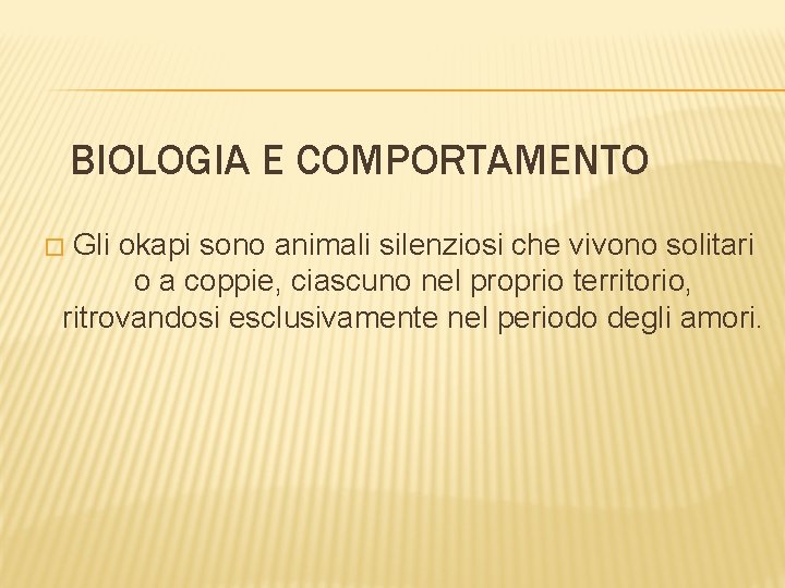 BIOLOGIA E COMPORTAMENTO Gli okapi sono animali silenziosi che vivono solitari o a coppie,