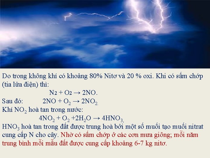 Ca dao Việt Nam có câu: “Lúa chiêm lấp ló đầu bờ Hễ nghe