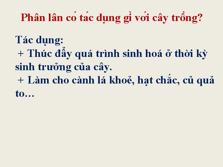 Phân lân co ta c du ng gi vơ i cây trô ng? Tác