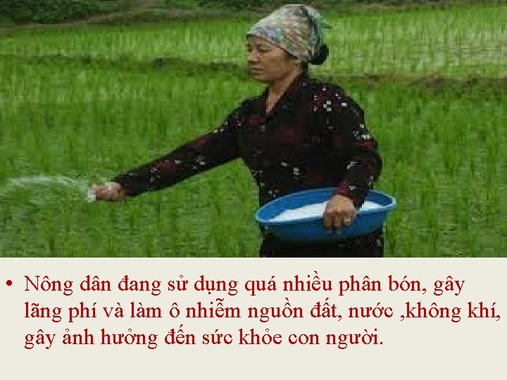  • Nông dân đang sử dụng quá nhiều phân bón, gây lãng phí