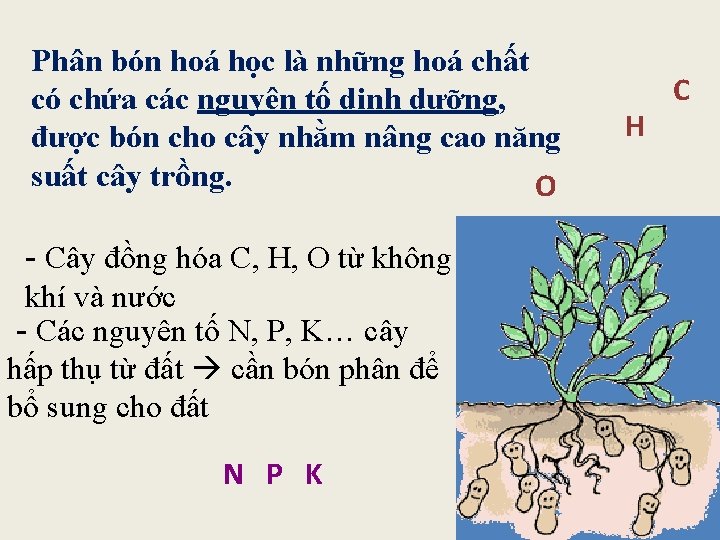 Phân bón hoá học là những hoá chất có chứa các nguyên tố dinh