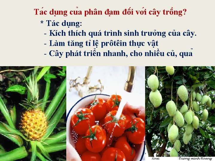 Ta c du ng cu a phân đa m đô i vơ i cây