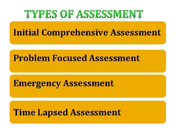 Initial Comprehensive Assessment Problem Focused Assessment Emergency Assessment Time Lapsed Assessment 