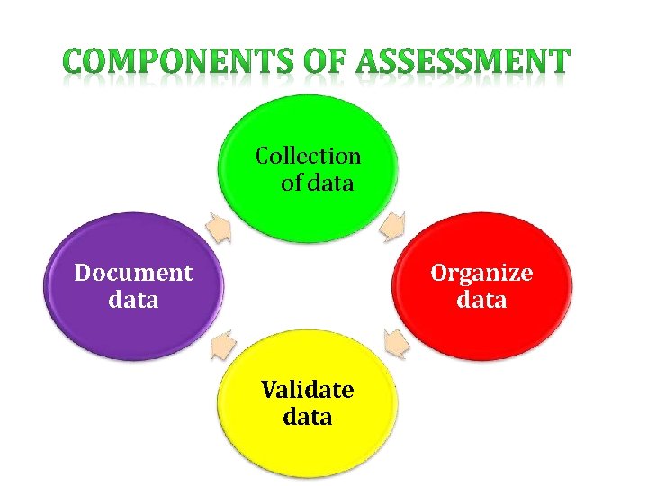 Collection of data Document data Organize data Validate data 