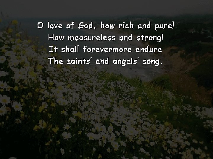 O love of God, how rich and pure! How measureless and strong! It shall