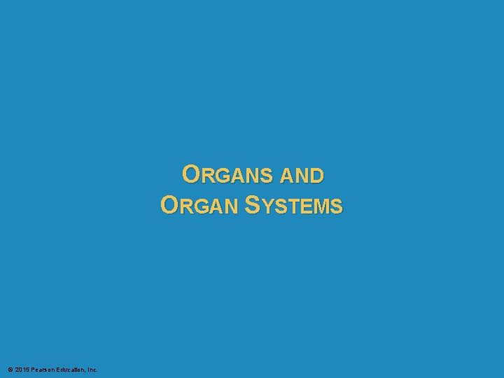 ORGANS AND ORGAN SYSTEMS © 2015 Pearson Education, Inc. ORGANS AND ORGAN SYSTEMS © 2015 Pearson Education, Inc.