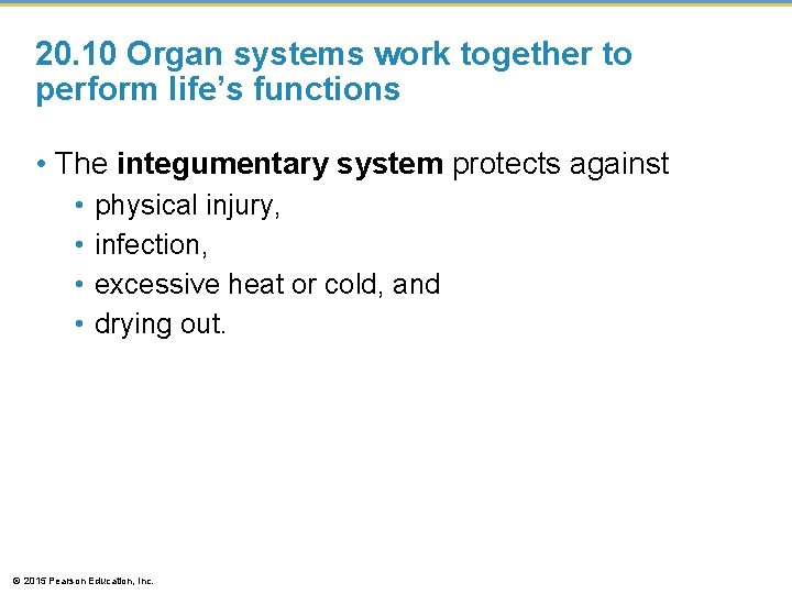20. 10 Organ systems work together to perform life’s functions • The integumentary system 20. 10 Organ systems work together to perform life’s functions • The integumentary system