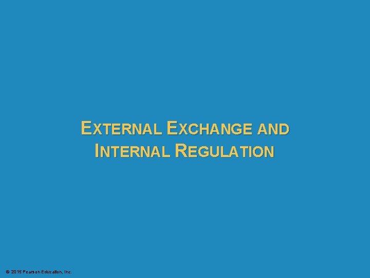 EXTERNAL EXCHANGE AND INTERNAL REGULATION © 2015 Pearson Education, Inc. EXTERNAL EXCHANGE AND INTERNAL REGULATION © 2015 Pearson Education, Inc.