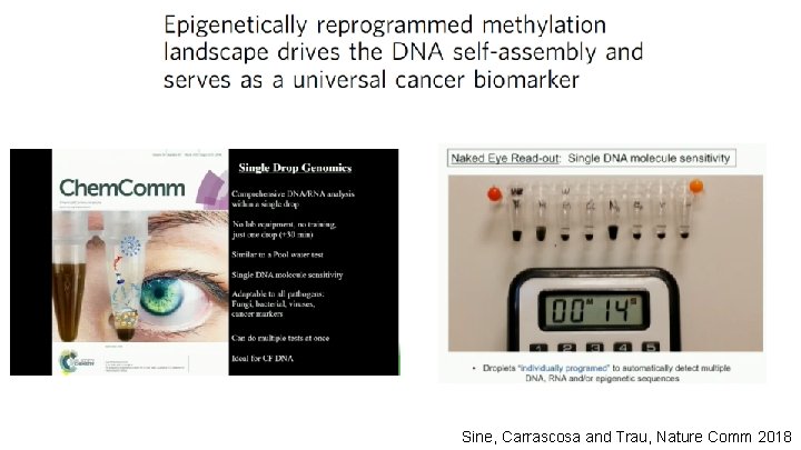 Sine, Carrascosa and Trau, Nature Comm 2018 