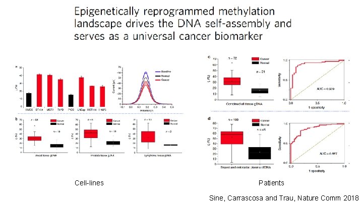 Cell-lines Patients Sine, Carrascosa and Trau, Nature Comm 2018 