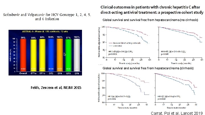 Global survival and survival free from hepatocarcinoma (no cirrhosis) Global survival and survival free