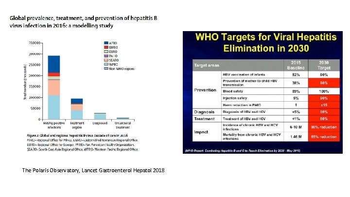 The Polaris Observatory, Lancet Gastroenterol Hepatol 2018 