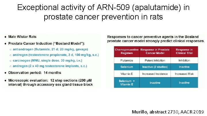 Exceptional activity of ARN-509 (apalutamide) in prostate cancer prevention in rats Murillo, abstract 2730,