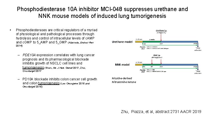 Phosphodiesterase 10 A inhibitor MCI-048 suppresses urethane and NNK mouse models of induced lung