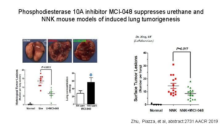 Phosphodiesterase 10 A inhibitor MCI-048 suppresses urethane and NNK mouse models of induced lung