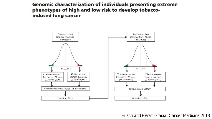 Fusco and Perez-Gracia, Cancer Medicine 2018 