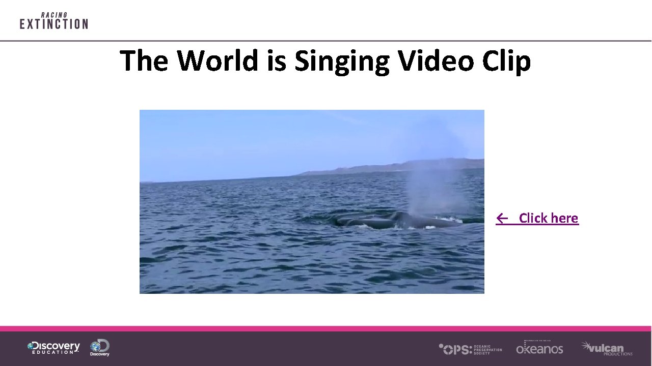 The World is Singing Video Clip ← Click here 