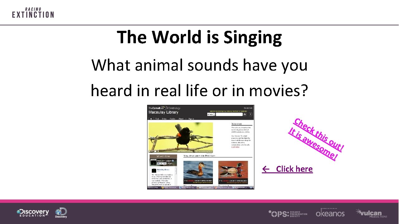 The World is Singing What animal sounds have you heard in real life or