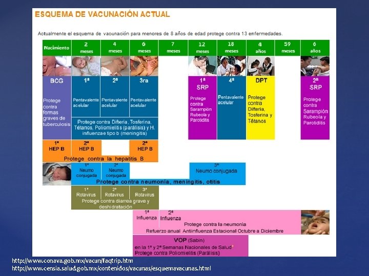 { http: //www. conava. gob. mx/vacun/faqtrip. htm http: //www. censia. salud. gob. mx/contenidos/vacunas/esquemavacunas. html { http: //www. conava. gob. mx/vacun/faqtrip. htm http: //www. censia. salud. gob. mx/contenidos/vacunas/esquemavacunas. html