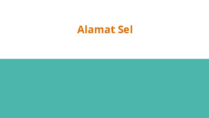 Alamat Sel 