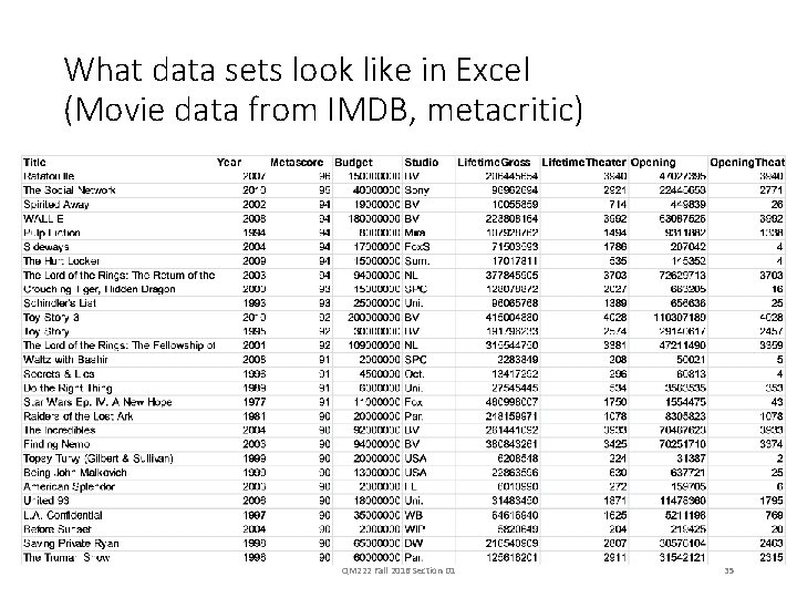 What data sets look like in Excel (Movie data from IMDB, metacritic) QM 222