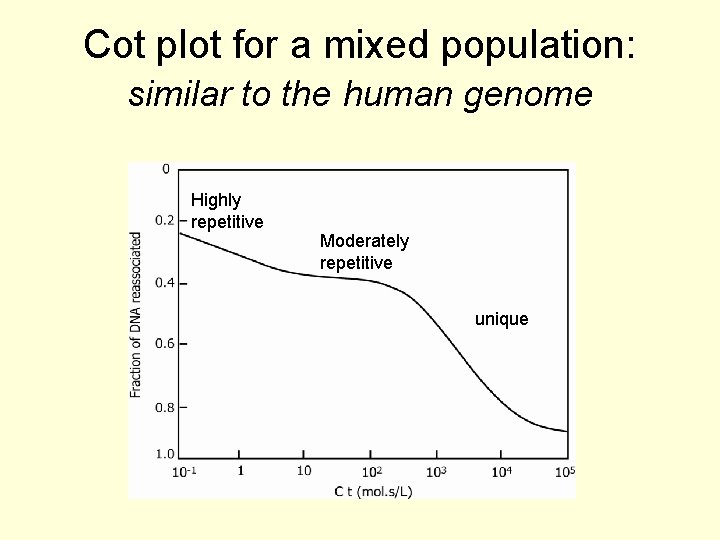 Cot plot for a mixed population: similar to the human genome Highly repetitive Moderately