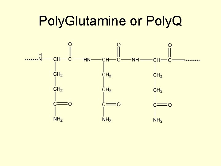 Poly. Glutamine or Poly. Q 