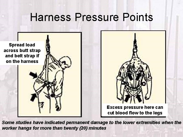 Harness Pressure Points Spread load across butt strap and belt strap if on the