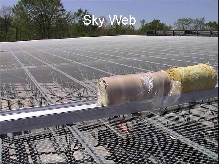 Sky Web 