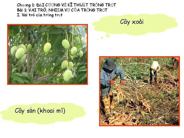 Chương 1: ĐẠI CƯƠNG VỀ KĨ THUẬT TRỒNG TRỌT Bài 1: VAI TRÒ, NHIỆM