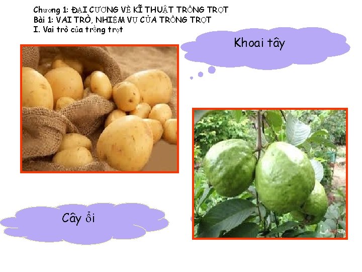 Chương 1: ĐẠI CƯƠNG VỀ KĨ THUẬT TRỒNG TRỌT Bài 1: VAI TRÒ, NHIỆM