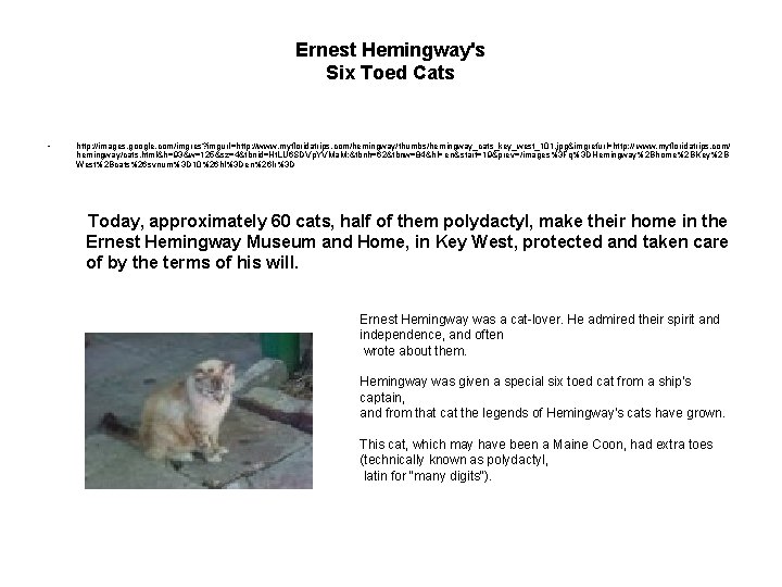 Ernest Hemingway's Six Toed Cats • http: //images. google. com/imgres? imgurl=http: //www. myfloridatrips. com/hemingway/thumbs/hemingway_cats_key_west_101.