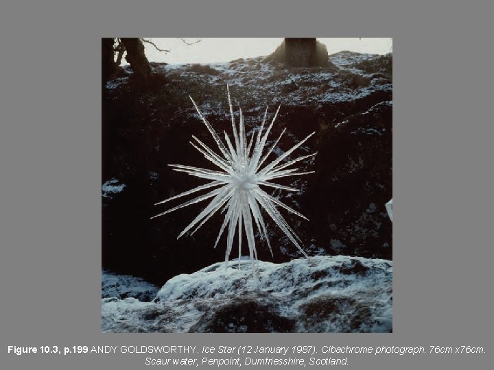 Figure 10. 3, p. 199 ANDY GOLDSWORTHY. Ice Star (12 January 1987). Cibachrome photograph. Figure 10. 3, p. 199 ANDY GOLDSWORTHY. Ice Star (12 January 1987). Cibachrome photograph.