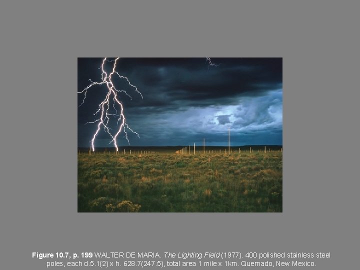 Figure 10. 7, p. 199 WALTER DE MARIA. The Lighting Field (1977). 400 polished Figure 10. 7, p. 199 WALTER DE MARIA. The Lighting Field (1977). 400 polished