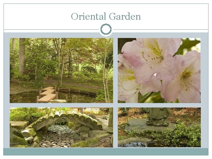 Oriental Garden 