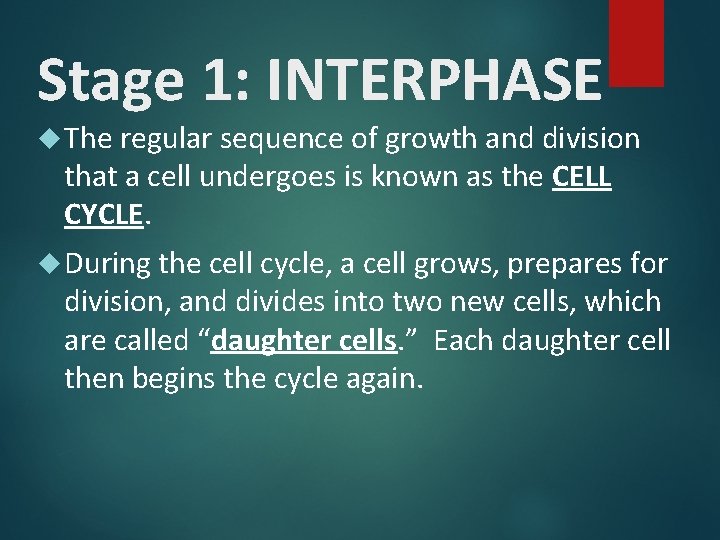 Stage 1: INTERPHASE The regular sequence of growth and division that a cell undergoes