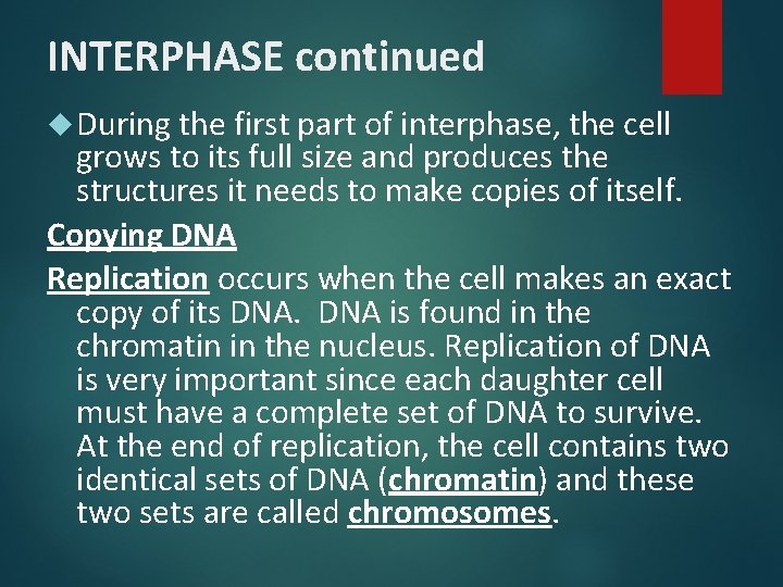 INTERPHASE continued During the first part of interphase, the cell grows to its full