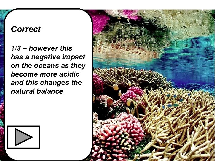 Correct 1/3 – however this has a negative impact on the oceans as they