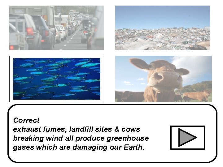 Correct exhaust fumes, landfill sites & cows breaking wind all produce greenhouse gases which