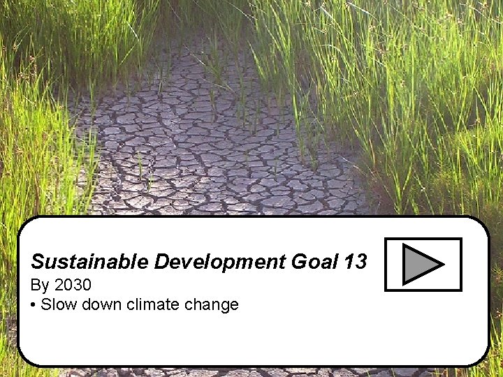 Sustainable Development Goal 13 By 2030 • Slow down climate change 