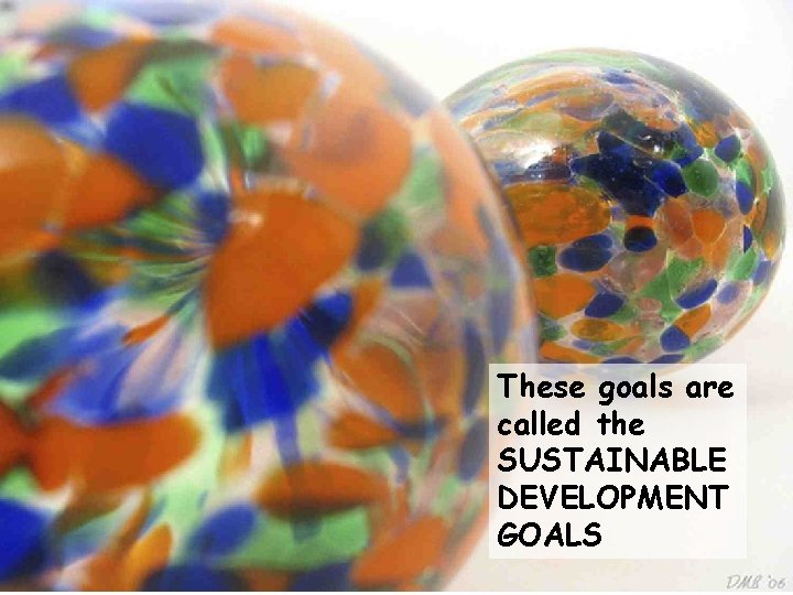 These goals are called the SUSTAINABLE DEVELOPMENT GOALS 