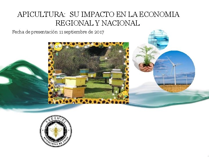 APICULTURA: SU IMPACTO EN LA ECONOMIA REGIONAL Y NACIONAL Fecha de presentación 11 septiembre