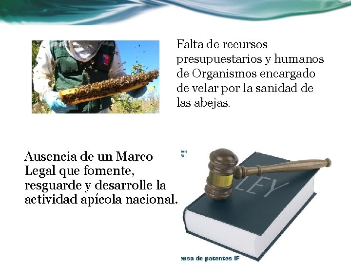 Falta de recursos presupuestarios y humanos de Organismos encargado de velar por la sanidad