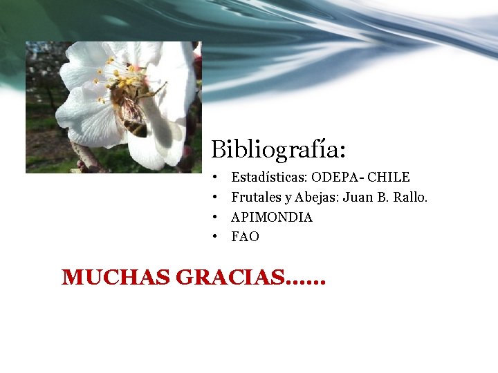 Bibliografía: • • Estadísticas: ODEPA- CHILE Frutales y Abejas: Juan B. Rallo. APIMONDIA FAO