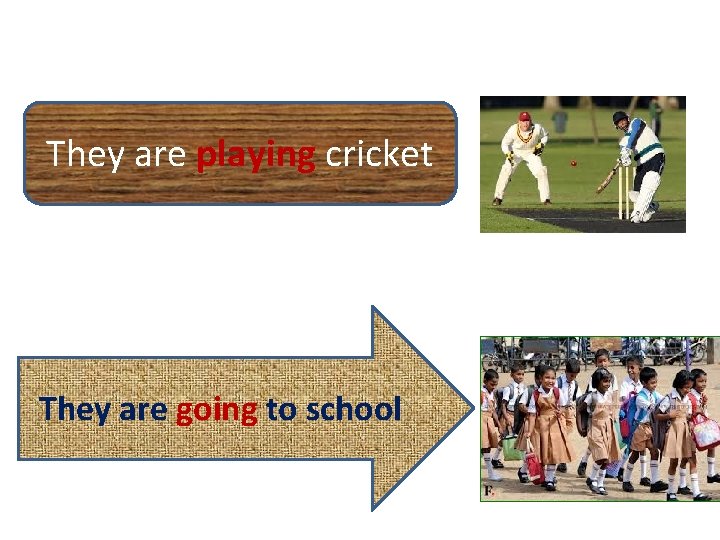 They are playing cricket They are going to school 