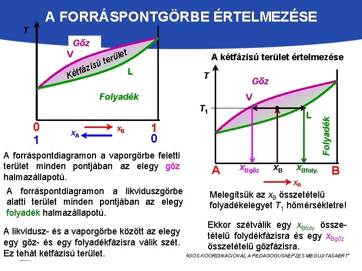 A FORRÁSPONTGÖRBE ÉRTELMEZÉSE T t is fáz t é K le ü r e