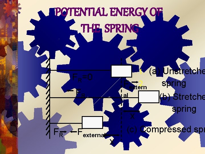 POTENTIAL ENERGY OF THE SPRING (a) Unstretche 2. spring Fextern al (b) Stretche spring